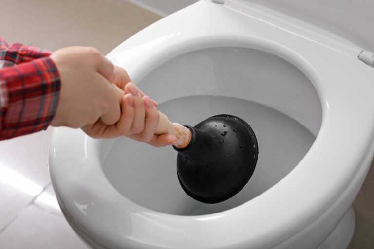 Will A Toilet Unclog Itself? Unclogging Your Toilet Without Professional Help